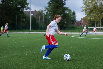 Bild 120 - C-Juniorinnen HSV - Walddoerfer : Ergebnis: 9:1